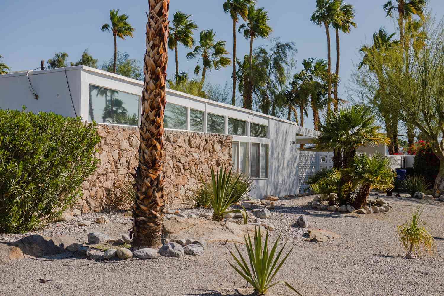Paisajismo de casa rancho moderna blanca con palmeras y arbustos bajos