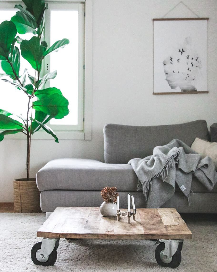 salon con sofa gris
