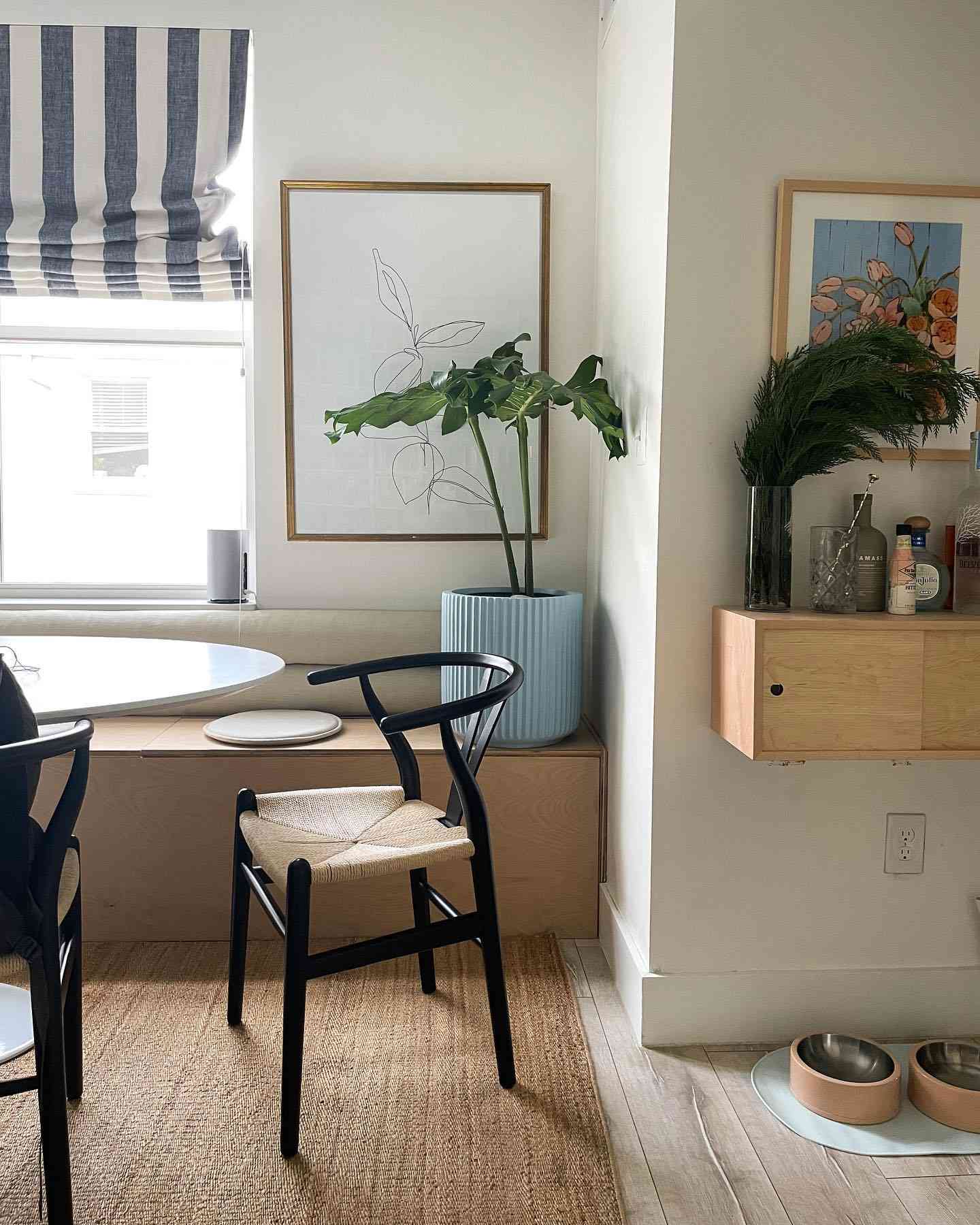 plantas grandes en apartamento