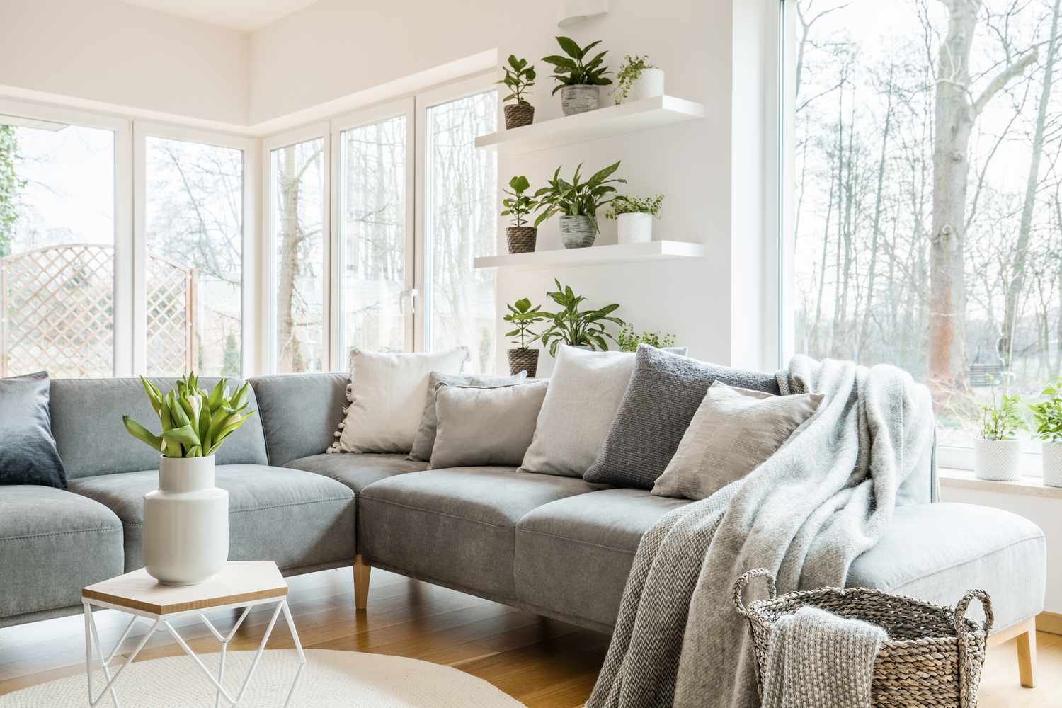 Sofá esquinero gris con almohadas y mantas en interior de salón blanco con ventanas y puerta de cristal y tulipanes frescos en la mesa auxiliar