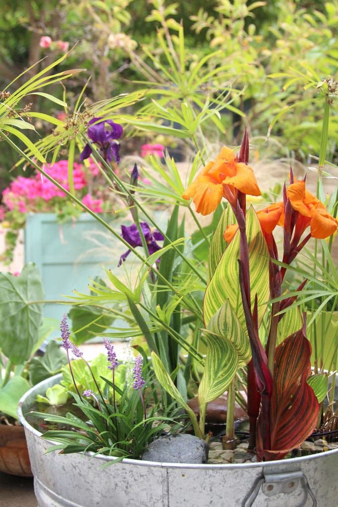 Flores de colores en una fuente de agua de bricolaje.