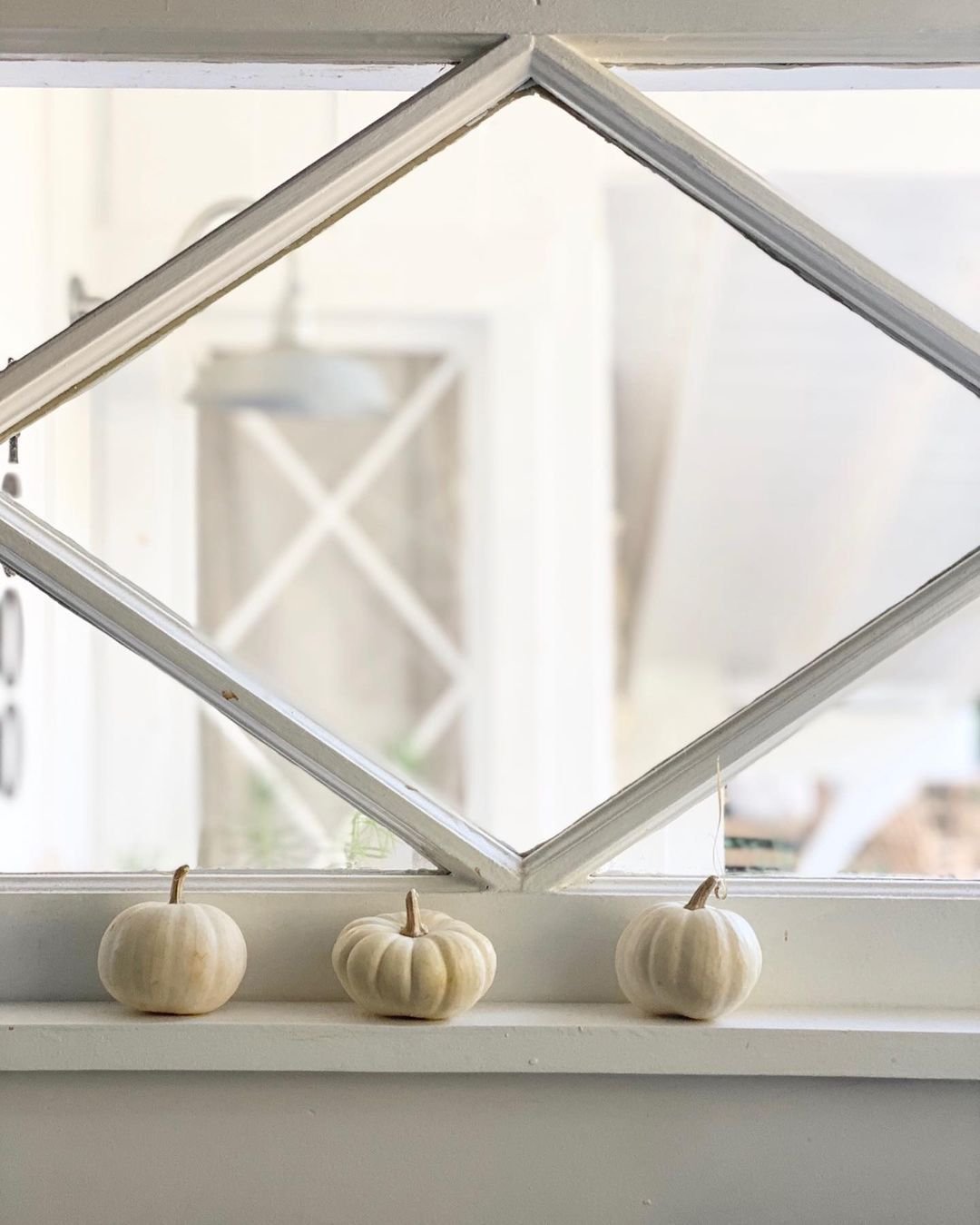 Calabazas blancas en una estantería