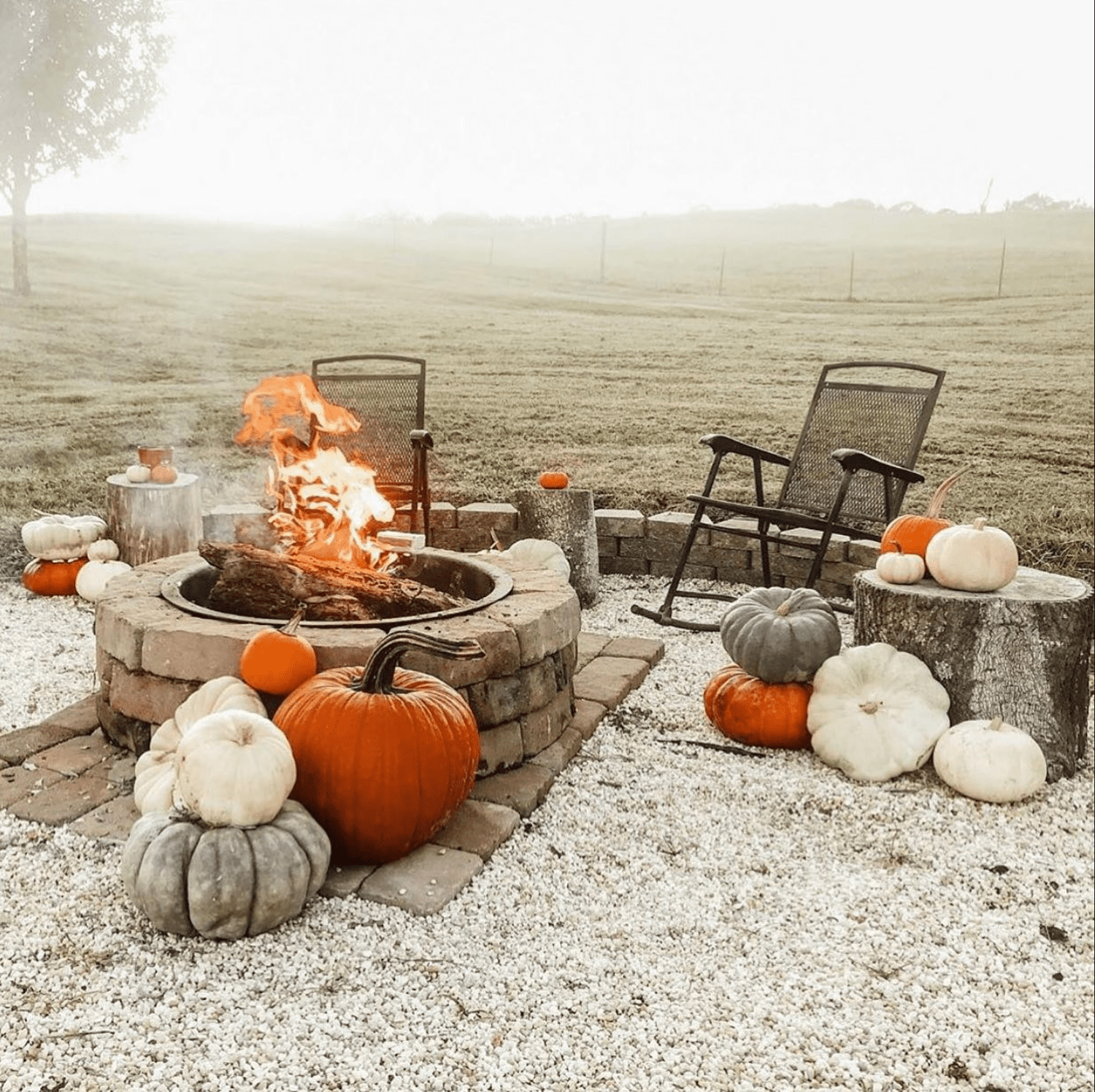 otoño en el patio trasero 