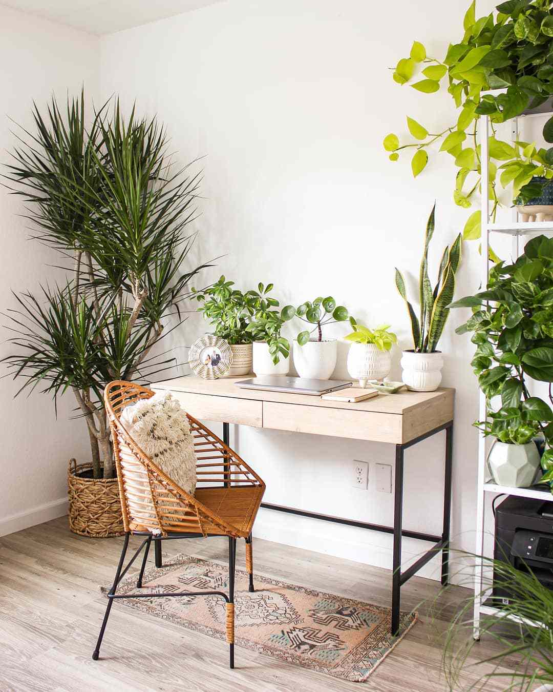 Escritorio con plantas
