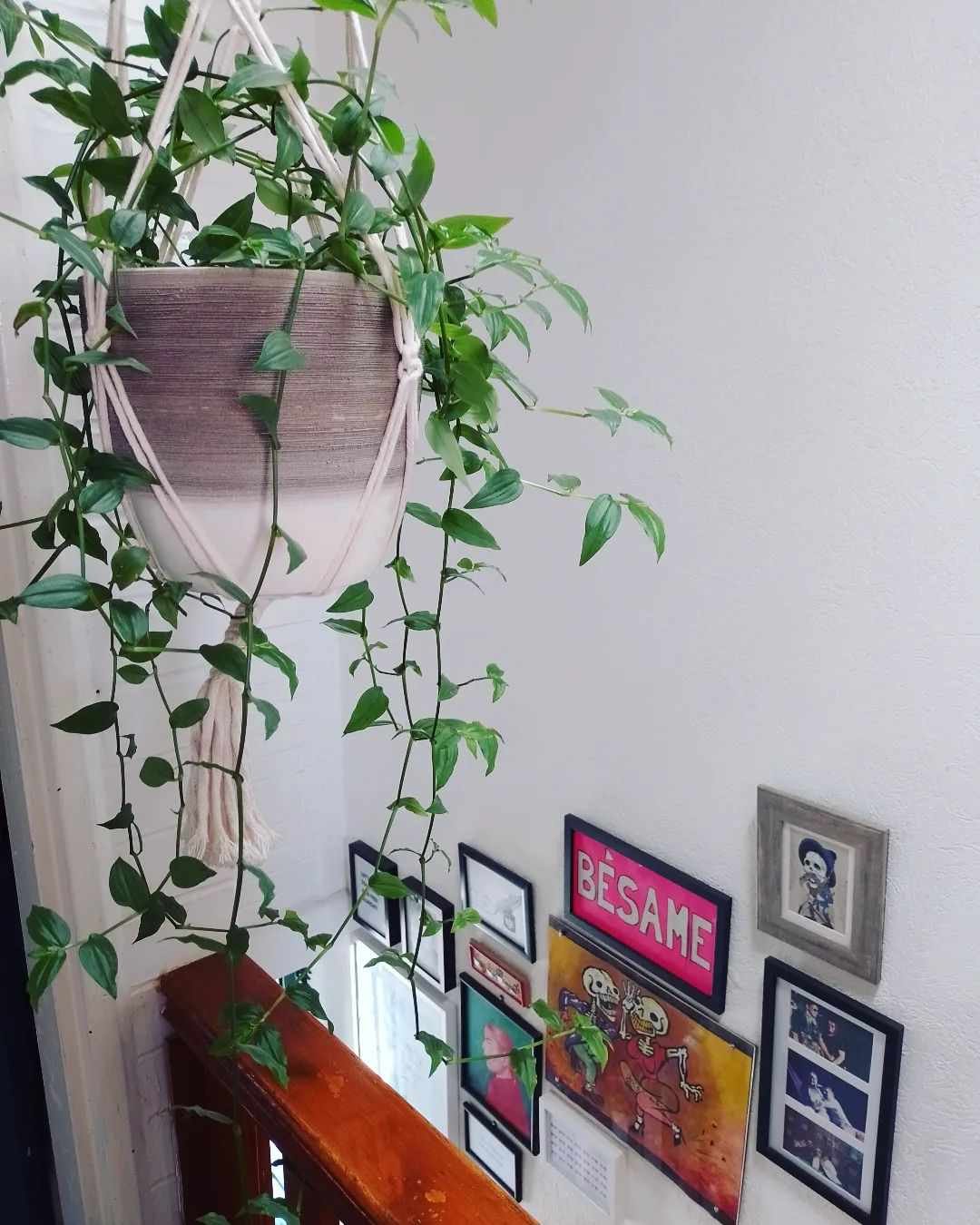 pared de la galería y planta en el hueco de la escalera