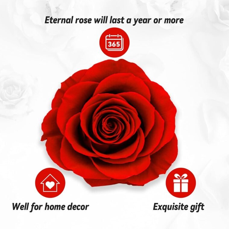 ADAZ Rosa Eterna con Collar, Flores Preservadas Hecha a Mano, Regalos Originales para Mujer, Día de la Madre, Regalo Navidad, Regalo San Valentin Mujer Novia Mamá - Imagen 5