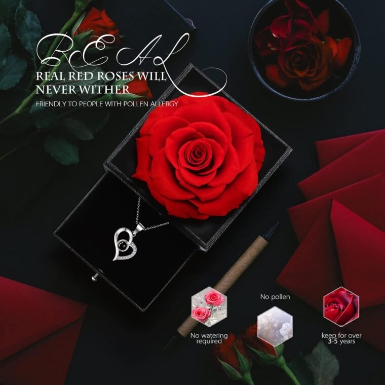 GOICC Rosa Eterna Natural Preservada San Valentin Regalos Originales con Collar para Mujer Novia Caja Regalo Aniversario para Pareja - Imagen 4