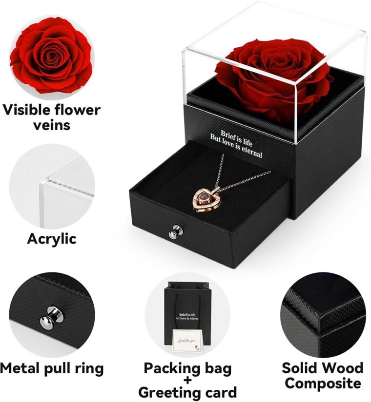 ADAZ Rosa Eterna con Collar, Flores Preservadas Hecha a Mano, Regalos Originales para Mujer, Día de la Madre, Regalo Navidad, Regalo San Valentin Mujer Novia Mamá - Imagen 4